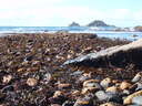 thumb_0904carbis_091.jpg