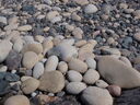 thumb_0904carbis_095.jpg