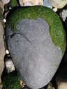 thumb_0904carbis_099.jpg