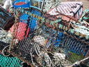 thumb_0904carbis_102.jpg