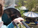 thumb_0904hollybourne_009.jpg