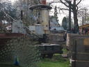 thumb_0904hollybourne_059.jpg