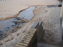 thumb_0905jasmine_038.jpg