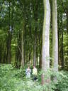 thumb_0906_June_038.jpg