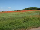thumb_0907July_003.jpg