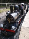 thumb_0908_August_020.jpg