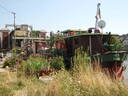 thumb_0809SemFed_079.jpg