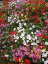 thumb_0809SemFed_091.jpg