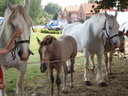 thumb_0809SemFed_103.jpg