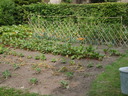thumb_0809SemFed_116.jpg