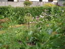 thumb_0809SemFed_117.jpg