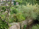 thumb_0809SemFed_118.jpg