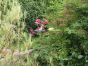 thumb_0809SemFed_119.jpg