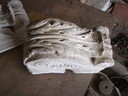 thumb_0809SemFed_134.jpg