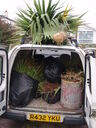 thumb_0910Winter_028.jpg