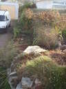 thumb_0910Winter_033.jpg