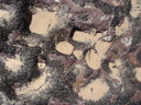 thumb_0910Winter_111.jpg
