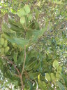 thumb_0910Winter_166.jpg
