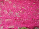 thumb_0910Winter_214.jpg