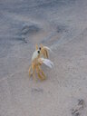 thumb_0910Winter_281.jpg