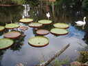 thumb_0910Winter_320.jpg
