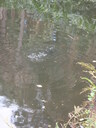 thumb_0910Winter_321.jpg