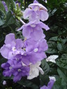 thumb_0910Winter_323.jpg