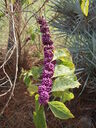 thumb_0910Winter_329.jpg