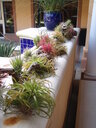 thumb_0910Winter_332.jpg