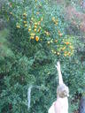 thumb_0910Winter_337.jpg