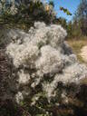 thumb_0910Winter_338.jpg