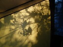 thumb_0910Winter_342.jpg
