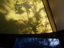 thumb_0910Winter_343.jpg