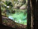 thumb_0910Winter_354.jpg