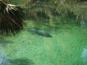 thumb_0910Winter_355.jpg