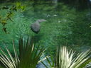 thumb_0910Winter_359.jpg