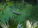 thumb_0910Winter_360.jpg