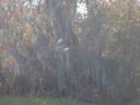 thumb_0910Winter_361.jpg