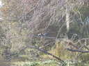 thumb_0910Winter_362.jpg