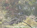 thumb_0910Winter_363.jpg