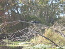 thumb_0910Winter_364.jpg