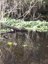 thumb_0910Winter_366.jpg