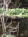 thumb_0910Winter_367.jpg