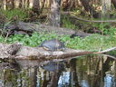 thumb_0910Winter_371.jpg