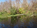 thumb_0910Winter_372.jpg