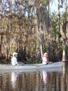 thumb_0910Winter_376.jpg