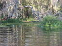 thumb_0910Winter_379.jpg