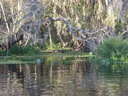 thumb_0910Winter_380.jpg