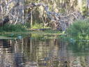 thumb_0910Winter_381.jpg