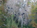 thumb_0910Winter_384.jpg